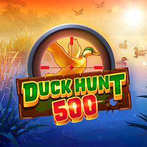 Duck Hunt 500