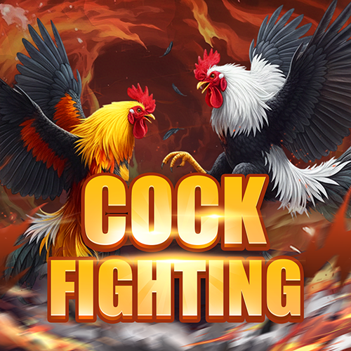 Cockfight6