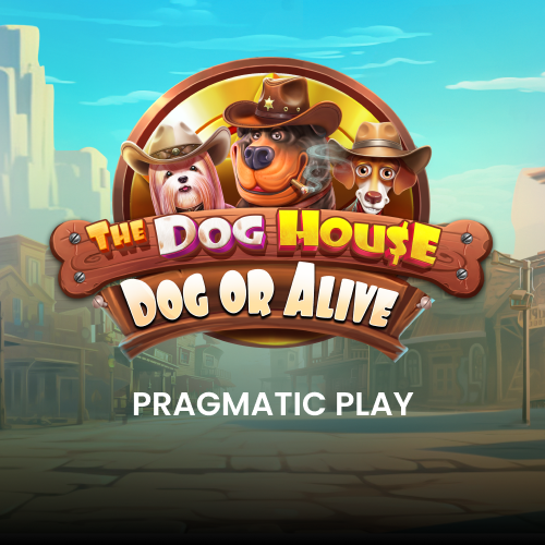 The Dog House Dog or Alive