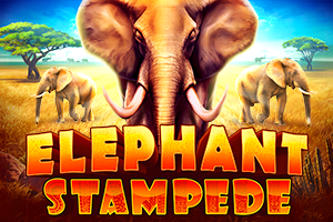 Elephant Stampede